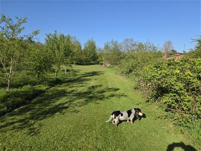 Picture 20